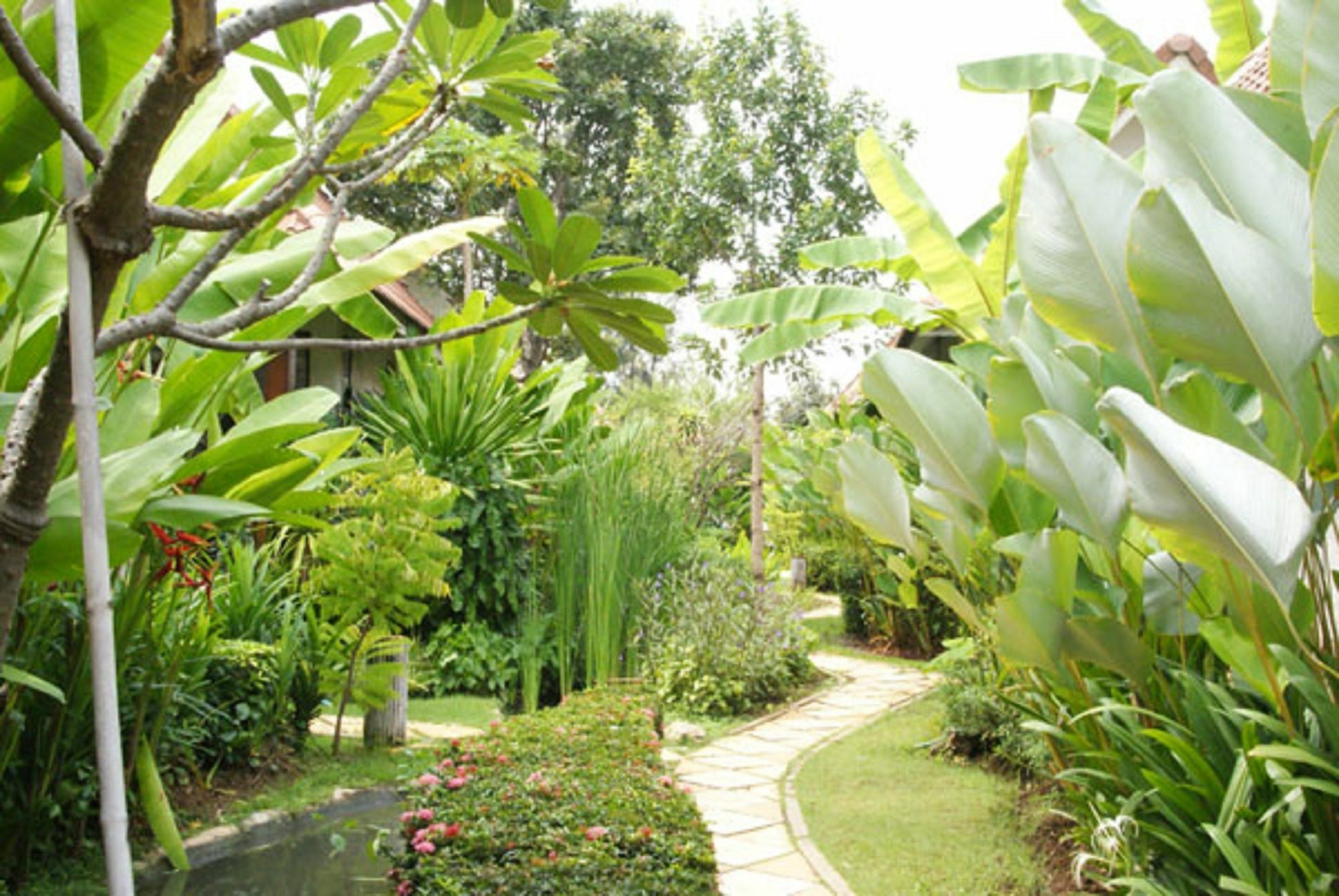 Pulsawat Palm Resort Pran Buri Exterior photo